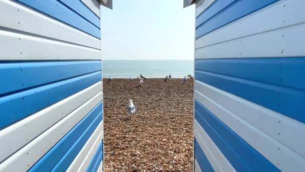 Hastings East Sussex Velká Británie Června2022 Záběry Pláže Oblázkové Krajiny — Stock video