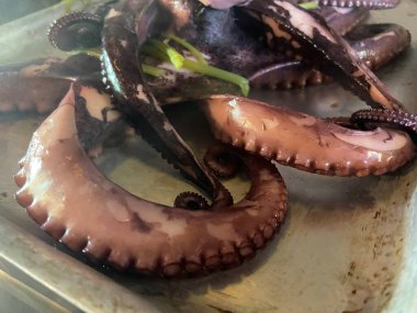 Gümüş tepside haşlanmış küçük ahtapot.