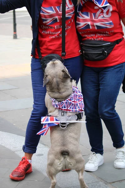 London Juni 2022 Trooping Colour Platinum Jubilee Queen Elizabeth People — Stok Foto