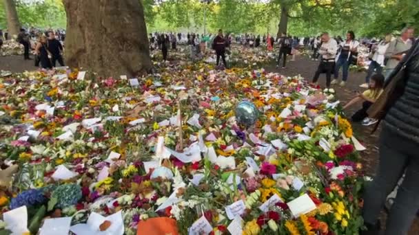 London 2022 Koningin Elizabeth Overlijdt Duizenden Mensen Laten Bloemen Kaarten — Stockvideo