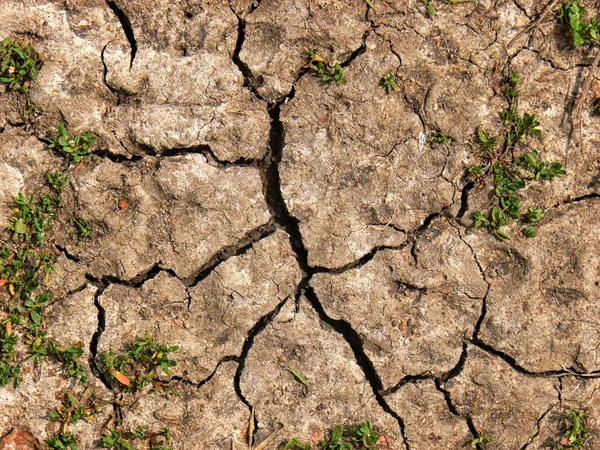 Textura de lodo agrietado —  Fotos de Stock