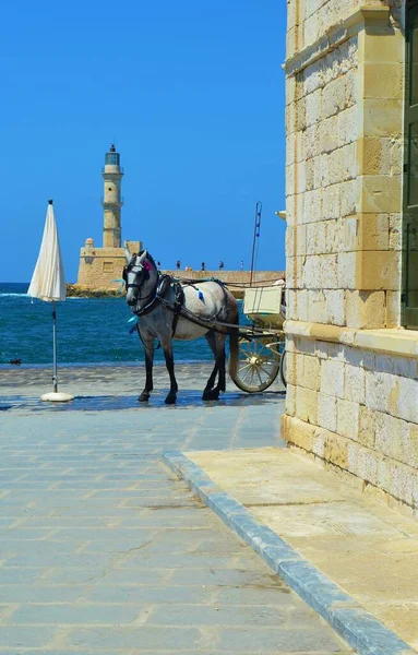 Cavalo Com Uma Carruagem Cidade Velha Chania Ilha Creta Grécia — Fotografia de Stock