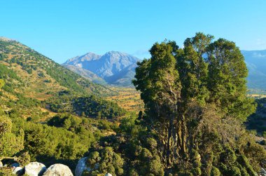 Girit Adası 'ndaki Omalos' taki dağ manzarası, Beyaz Dağlar, Yunanistan