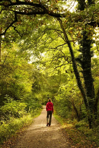 Bella Foresta Autunnale Con Sole Splendente Una Donna Caucasica Sta — Foto Stock