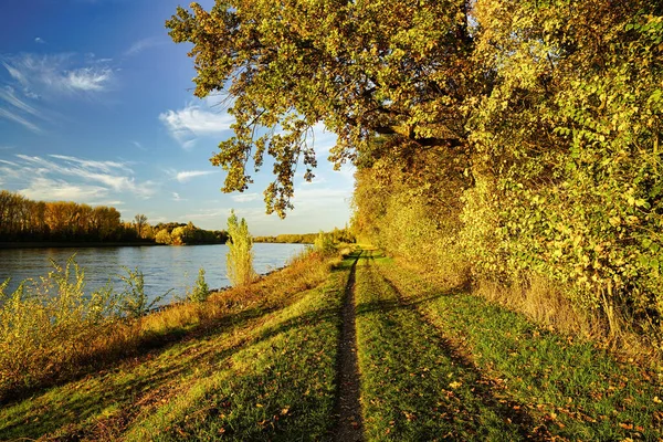 Piękny Jesienny Dzień Nad Renem Ścieżka Wiodąca Wzdłuż Rzeki Niemcy — Zdjęcie stockowe