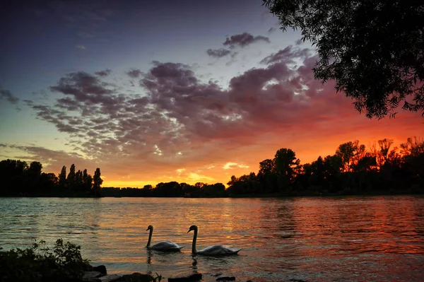 Ein Fantastischer Sonnenuntergang Rhein Orange Und Rote Wolken Die Sich — Stockfoto