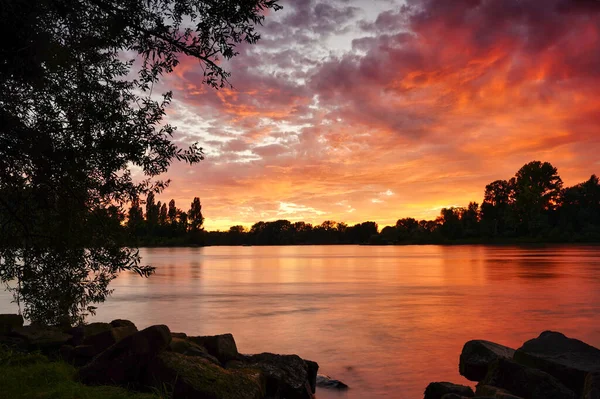 Una Puesta Sol Fantástica Río Rin Nubes Anaranjadas Rojas Reflejándose —  Fotos de Stock