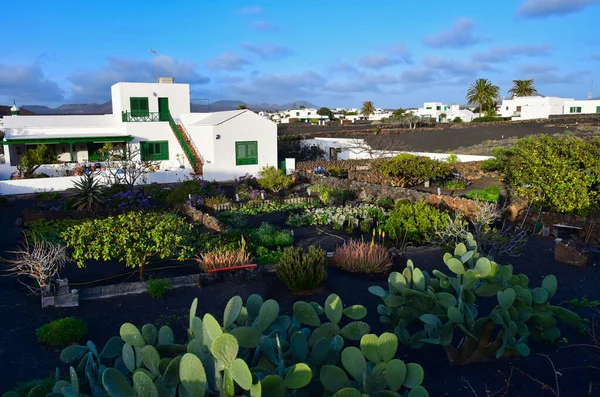 Lanzarote 'deki küçük Yaiza kasabası. Bahçesi bol opuntias ve diğer bitkilerle dolu tipik bir ev. Kanarya Adaları, İspanya. Görüntü kamusal alandan alındı.