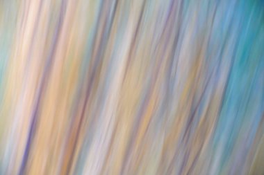 Renkli bir desen. Fotoğraf, kamerayı çevirince bulanıklaşıyor. Sonbaharda bir huş ağacının dalları.