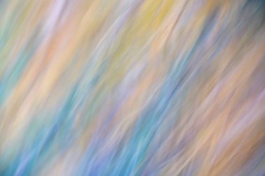 Renkli bir desen. Fotoğraf, kamerayı çevirince bulanıklaşıyor. Sonbaharda bir huş ağacının dalları.