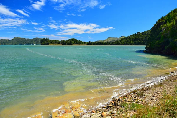 Hermosa Ensenada Whanganui Una Reserva Marina Vida Silvestre Nueva Zelanda —  Fotos de Stock