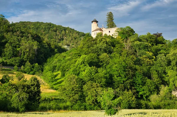 Zamek Birseck Niedaleko Arlesheim Bazylea Kraj Szwajcaria Niebo Jest Wciąż — Zdjęcie stockowe
