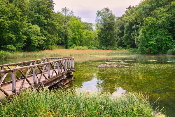 Uno Los Estanques Del Jardín Paisaje Ermitage Arlesheim Basilea País —  Fotos de Stock