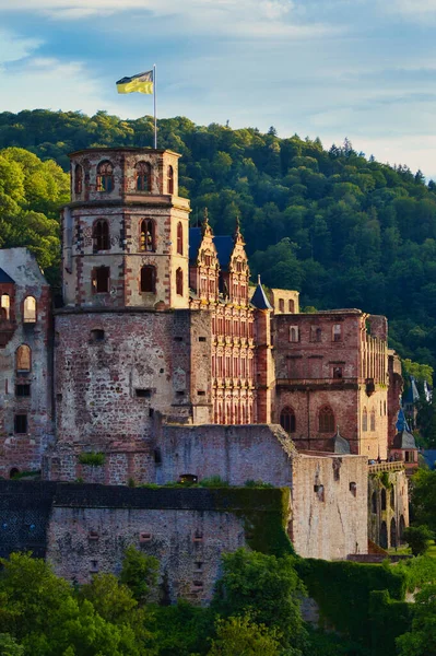 Famous Castle Heidelberg Germany Golden Hour Forest Mount Koenigstuhl Background — Zdjęcie stockowe