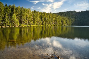 Çek Cumhuriyeti 'nin Bohem Ormanı' nda Certovo Gölü 'nün güzel jezerosu.