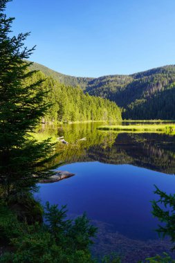Beautiful lake Kleiner Arbersee with its swimming islands in the Bavarian Forest, Upper Palatinate, Bavaria, Germany.