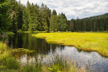Kleiner Arbersee Gölü yüzme adalarıyla Bavyera Ormanı, Yukarı Palatinate, Bavyera, Almanya. Arka planda birileri var..
