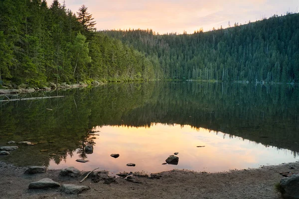 Beautiful Lake Certovo Jezero Bohemian Forest Czech Republic Sunset Royaltyfria Stockbilder