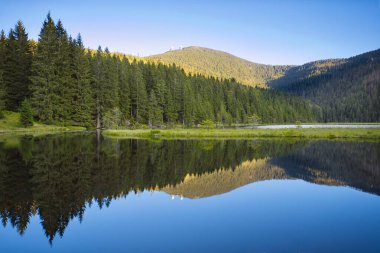 Beautiful lake Grosser Arbersee with its swimming islands in the Bavarian Forest. Upper Palatinate, Bavaria, Germany.