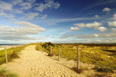 A beautiful sandy path along the ocean. Some clouds in the blue sky. North Holland dune reserve, Egmond aan Zee, Netherlands.