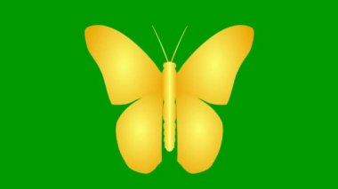 Animasyon altın kelebek kanatları. Döngülü video. Düz vektör çizimi yeşil arkaplanda izole edildi.