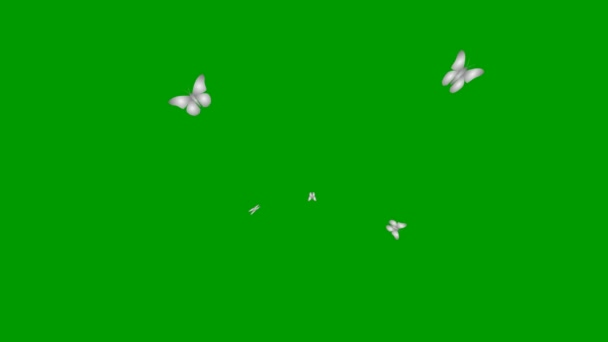 Animated Silver Butterflies Fly Center Vector Illustration Isolated Green Background — Stock Video