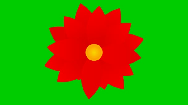 Animowane Czerwone Kwiaty Kwitną Ilustracja Wektora Izolowana Zielonym Tle — Wideo stockowe