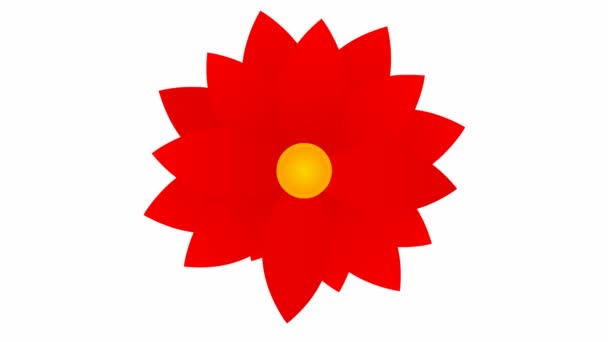 Animated Red Flower Blossoms Vector Illustration Isolated White Background — Stock Video