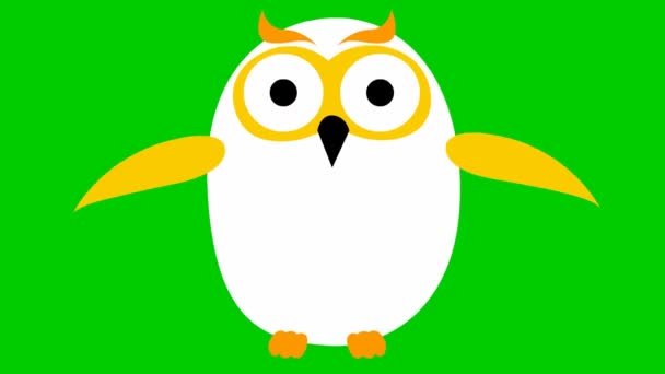 面白い白いフクロウのアニメーション ループビデオだ 緑の背景に独立したベクトル図 — ストック動画