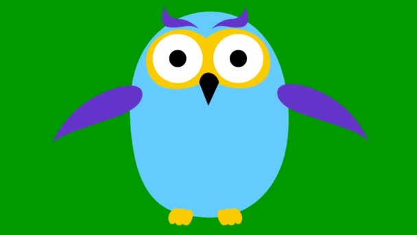 生动有趣的蓝色猫头鹰飞 循环视频 在绿色背景上孤立的向量图 — 图库视频影像