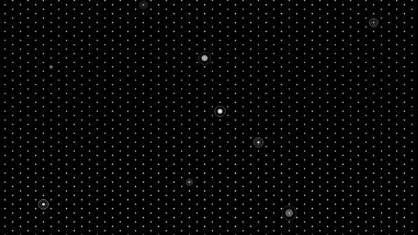 Animated Black Abstract Point Background Backdrop Animation Dots Vector Illustration — Wideo stockowe