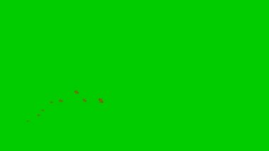 Animated red percents fly fly from left to right. Flying percents. Concept of sale, discount, promotion. Vector illustration isolated on the green background.