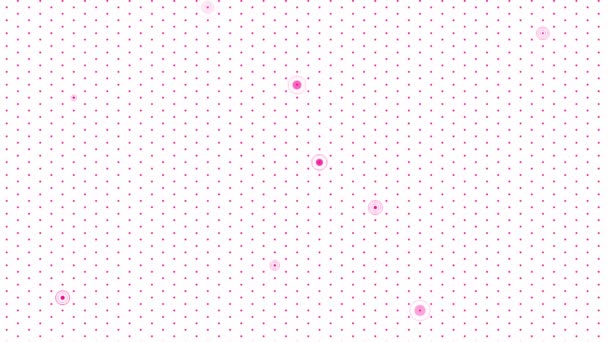 Animated Pink Abstract Point Background Backdrop Animation Dots Vector Illustration — Stock Video