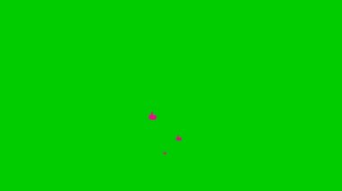 Animated pink likes fly from bottom to top. Looped video. Vector flat illustration. Fountain from hands isolated on the green background.