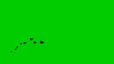Animated black leaves fly from left to right. Looped video. A wave of flying leaves on green background.