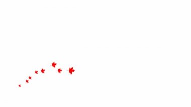 Animated autumn red leaves fly from left to right. Looped video. A wave of flying leaves on white background.