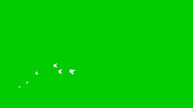 Animated white butterflies fly from left to right. A wave of butterflies. Concept of summer. Vector illustration isolated on the green background.