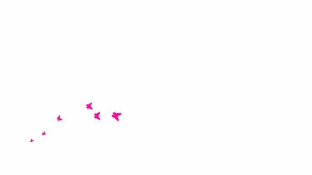 Анимационные Розовые Бабочки Летают Слева Направо Волна Бабочек Концепция Лета — стоковое видео