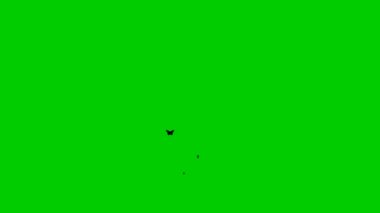 Animated black butterflies fly from bottom to top. A fountain from flying butterflies. Concept of summer. Vector illustration isolated on the green background.