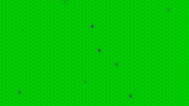 动画紫罗兰抽象点背景 背靠动画点点 在绿色背景上孤立的向量图 — 图库视频影像