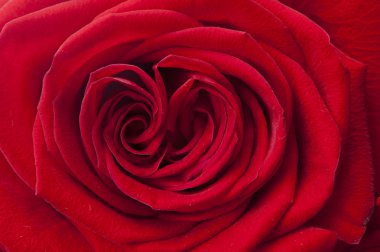 Dekoratif arka plan kumaş