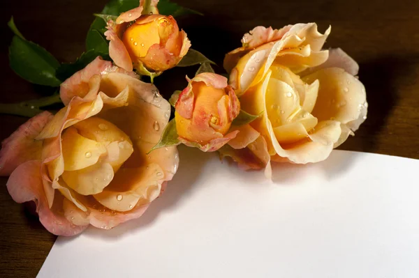 Gele rozen en ticket — Stockfoto