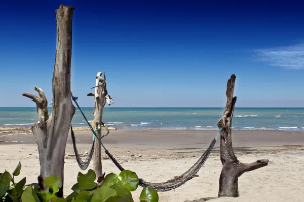 Amaca su una spiaggia deserta — Foto Stock