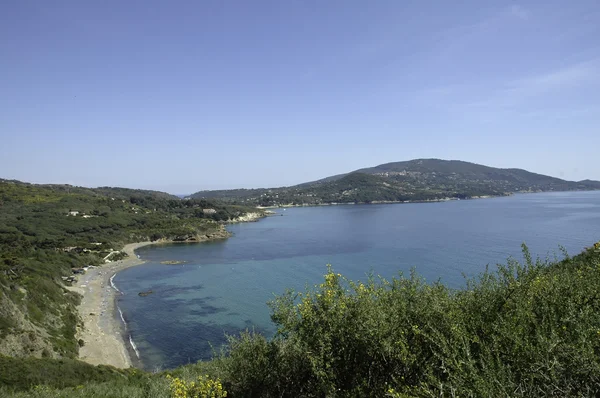 The coast of the island of Elba — Stock Photo, Image