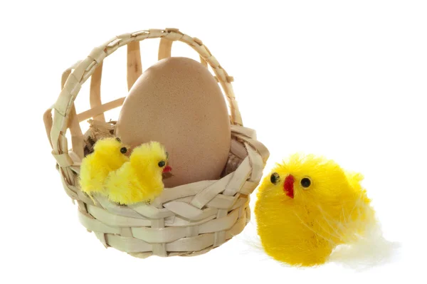 Easter eggs and chicken — Stock Photo, Image