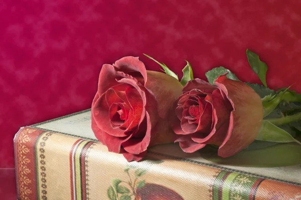 Roses rouges et livres anciens — Photo