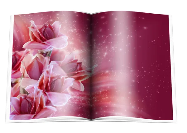 Boek whith regenwoud bloemen en sterren — Stockfoto