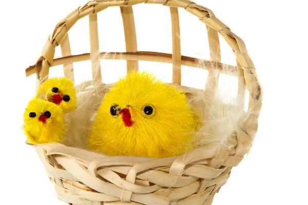 Basket with Easter chicks — Stock Photo, Image