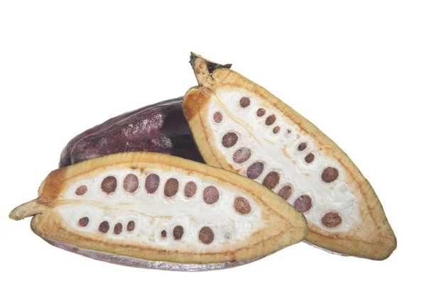 Fruit of the cocoa tree — Stock Photo, Image