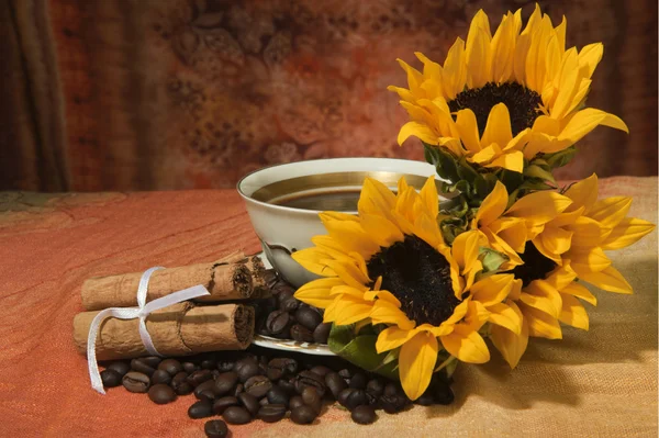 Fincan kahve çekirdeği ve ayçiçeği renkli arka plan üzerinde — Stok fotoğraf
